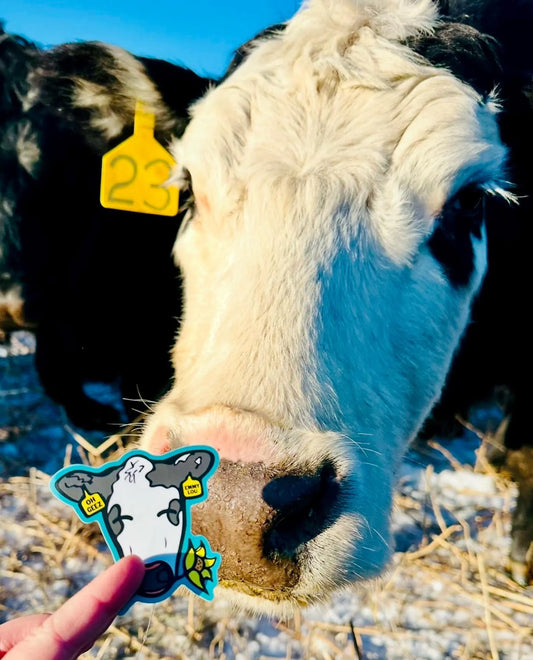 Emmy Lou Baldy Cow Sticker