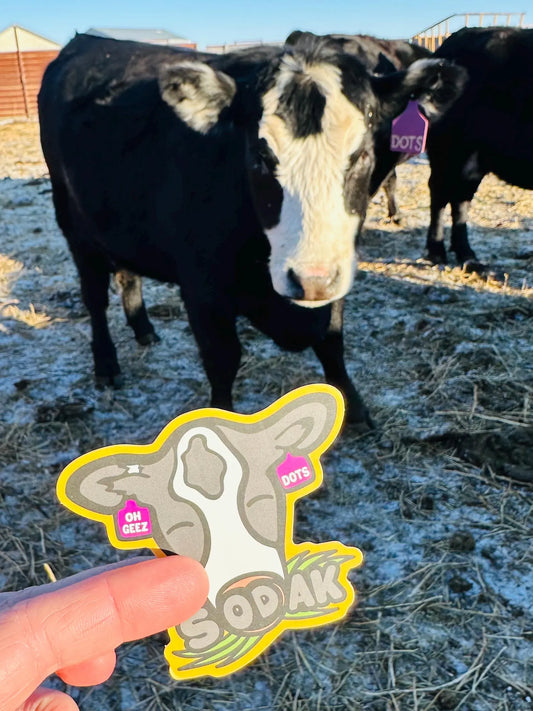 Dots the SoDak Cow Sticker