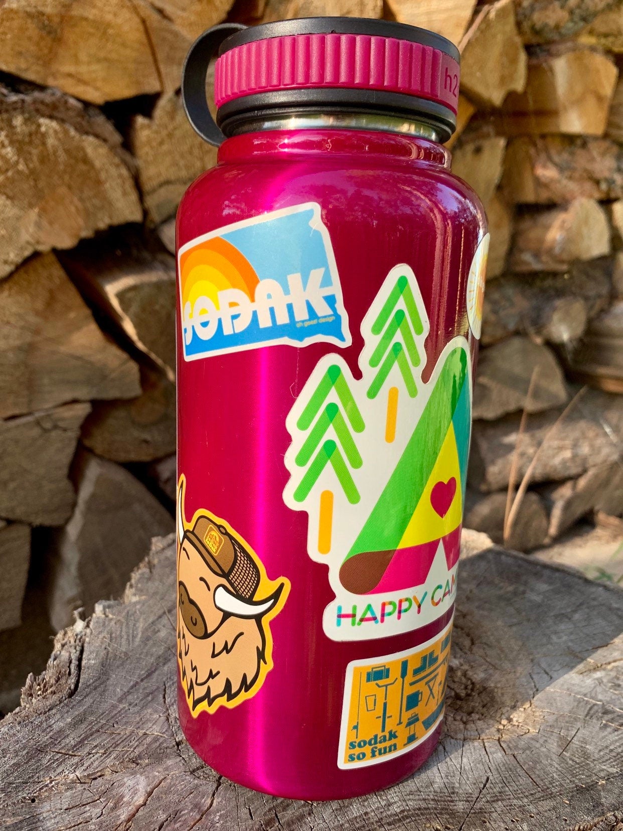 SoDak Sticker Sheet by Oh Geez! Design